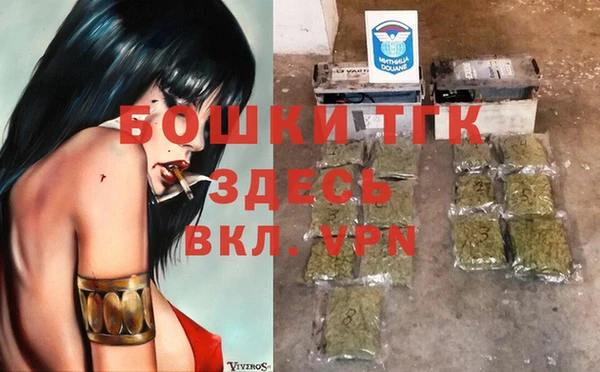 дживик Баксан