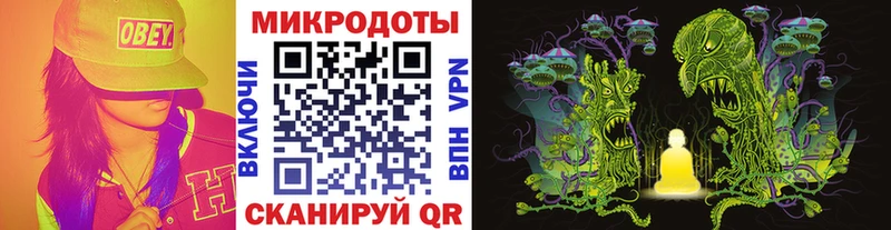 Галлюциногенные грибы Cubensis  Городище 